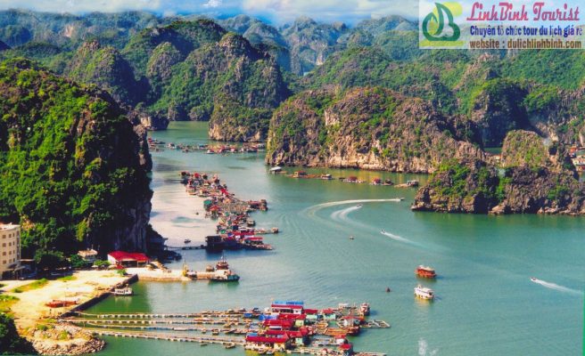 Tour Du Lịch Hạ Long 1 Ngày Giá Rẻ