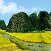 Tour Du Lịch Ninh Bình Giá Rẻ