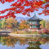 Tour Du Lịch Hàn Quốc 6 Ngày 5 Đêm từ Hà Nội
