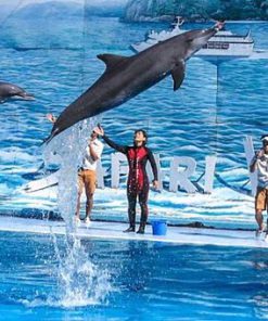 Tour Du Lịch Hạ Long 3 Ngày 2 Đêm giá rẻ