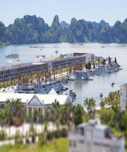 Tour Du Lịch Hạ Long Tuần Châu 2 Ngày 1 Đêm