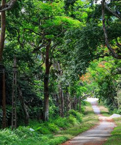 Tour Du Lịch Ninh Bình Giá Rẻ