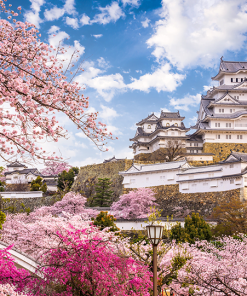 Tour Du Lịch Nhật Bản 4 Ngày 3 Đêm giá rẻ