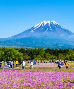 Tour Du Lịch Nhật Bản 4 Ngày 3 Đêm giá rẻ