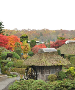 Tour Du Lịch Nhật Bản 6 Ngày 5 Đêm giá rẻ