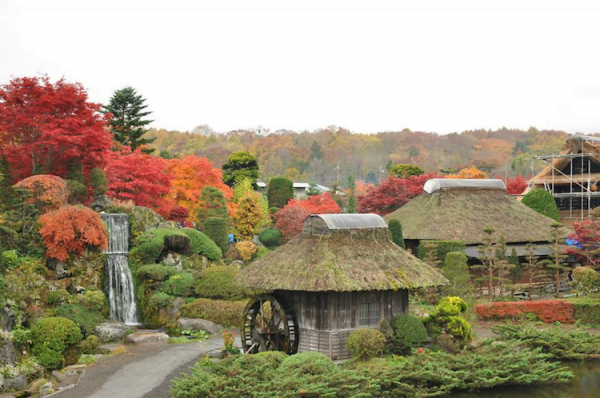 Tour Du Lịch Nhật Bản 6 Ngày 5 Đêm giá rẻ