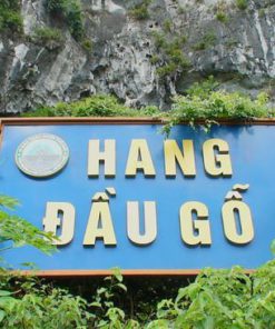 Du Lịch Hạ Long 1 Ngày