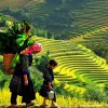 Tour Du Lịch Sapa Fansipan 2 Ngày 1 Đêm