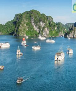 Du Lịch Hạ Long 1 Ngày