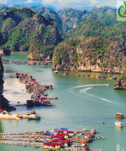Tour Du Lịch Hạ Long 1 Ngày Giá Rẻ
