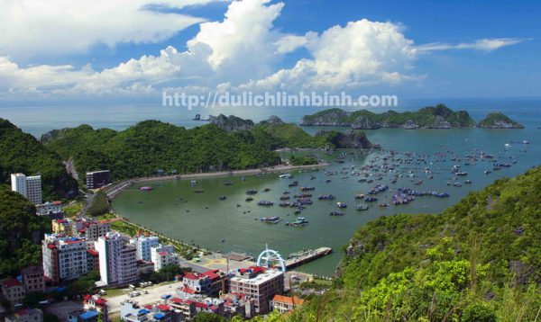 Tour Du lịch hạ long cát bà 2 ngày 1 đêm