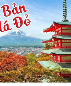 Tour Du Lịch Nhật Bản 6 Ngày 5 Đêm giá rẻ