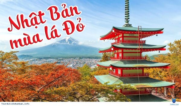 Tour Du Lịch Nhật Bản 6 Ngày 5 Đêm giá rẻ