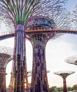 Tour Du Lịch Singapore 4 Ngày 3 Đêm giá rẻ