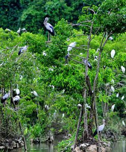 Tour Du Lịch Ninh Bình Giá Rẻ