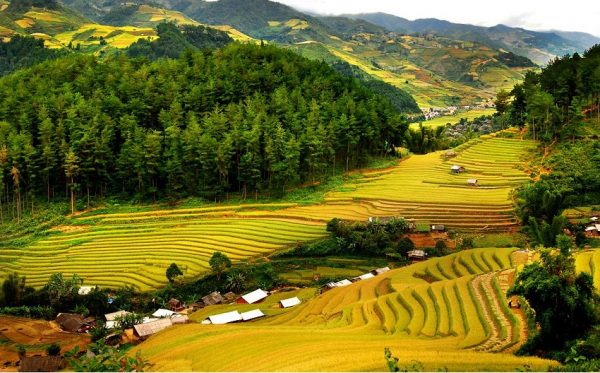 du lịch mai châu pù luông 2 ngày 1 đêm giá rẻ