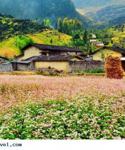 Du Lịch Hà Giang 2 Ngày 3 Đêm giá rẻ