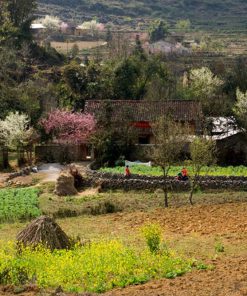 Du Lịch Hà Giang 2 Ngày 3 Đêm giá rẻ