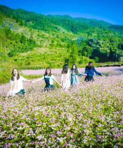 Du Lịch Hà Giang 2 Ngày 3 Đêm giá rẻ