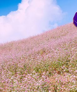 Tour Du Lịch Hà Giang 3 Ngày 2 Đêm