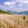 Du Lịch Hà Giang 2 Ngày 3 Đêm giá rẻ
