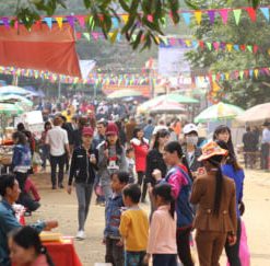 Tour Du Lịch Thanh Hóa 2 Ngày 1 Đêm