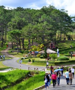 Du Lịch Đà Lạt 2 Ngày 1 Đêm