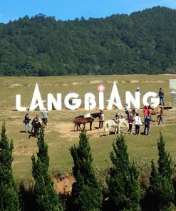 Du Lịch Đà Lạt 2 Ngày 1 Đêm