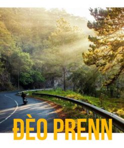 Tour Du Lịch Đà Lạt 3 Ngày 2 Đêm giá rẻ