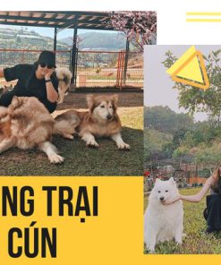 Tour Du Lịch Đà Lạt 3 Ngày 2 Đêm giá rẻ