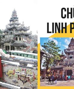 Tour Du Lịch Đà Lạt 3 Ngày 2 Đêm giá rẻ