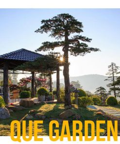 Tour Du Lịch Đà Lạt 3 Ngày 2 Đêm giá rẻ