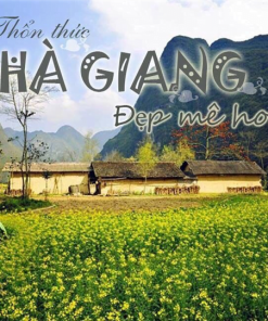 Tour Hà Giang 3 ngày 2 đêm giá rẻ