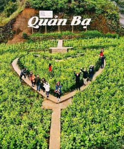 Tour Hà Giang 3 ngày 2 đêm giá rẻ