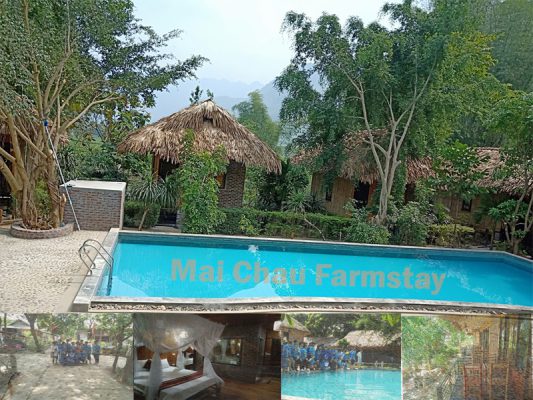 Nhà Sàn Mai Châu Hòa Bình