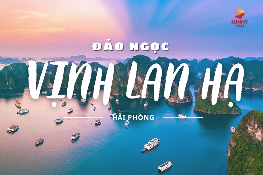 Thuê tàu đi Vịnh Lan Hạ