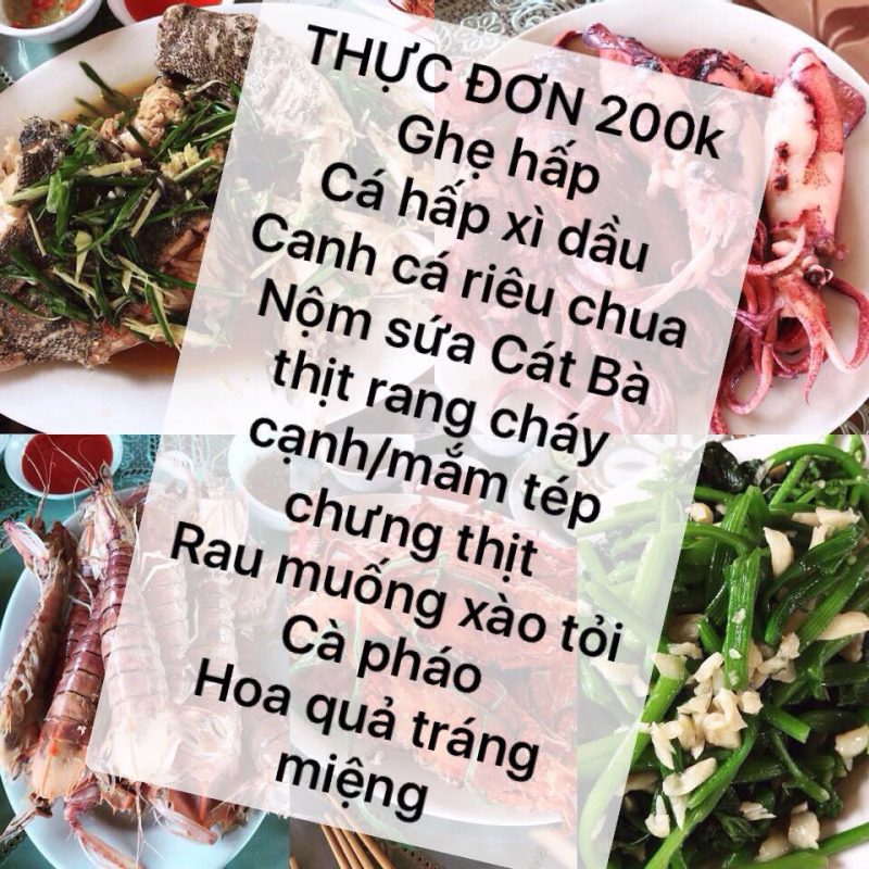 Thuê tàu đi vịnh lan Hạ