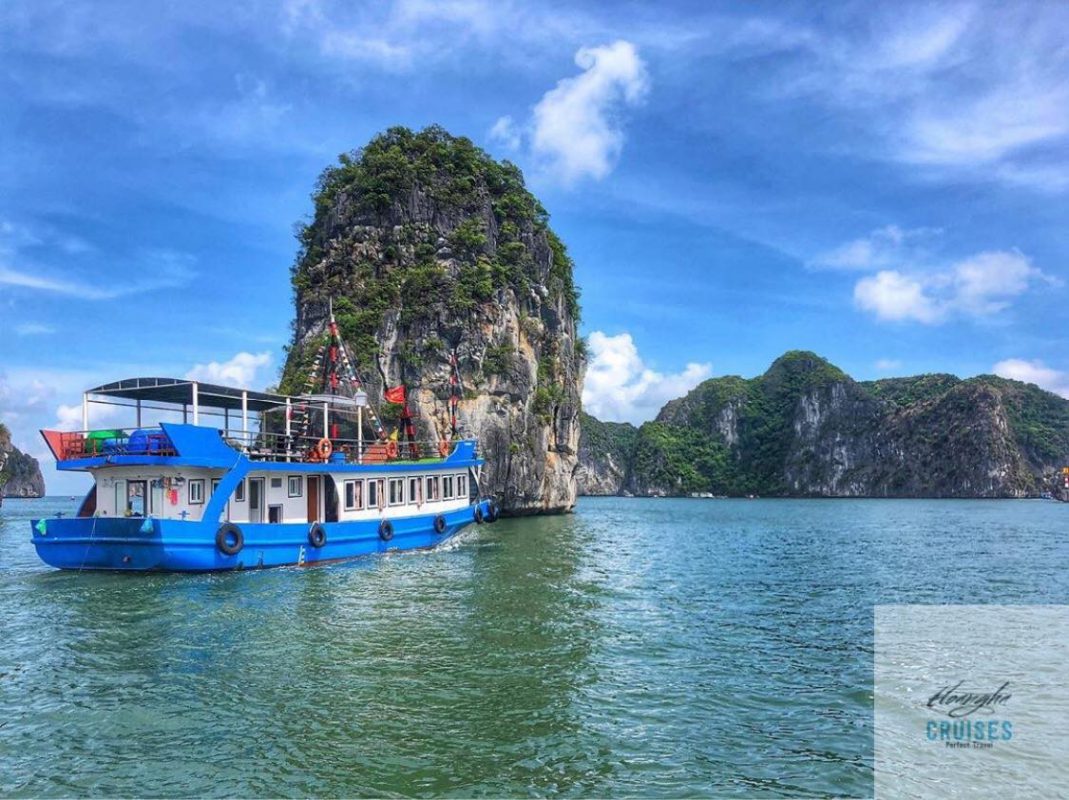 Thuê tàu thăm quan vịnh lan Hạ