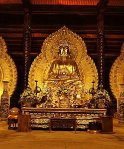 Tour Bái Đính Tràng An 1 Ngày