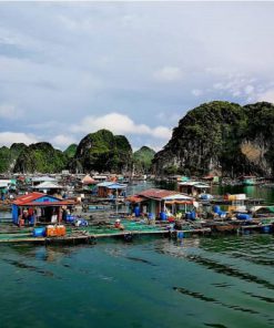 Tour Vịnh Lan Hạ 1 Ngày