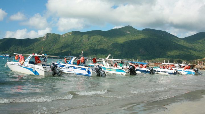 Thuê cano ở Cát Bà