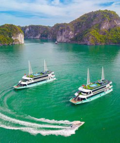 Tour Du thuyền Hạ Long 1 ngày