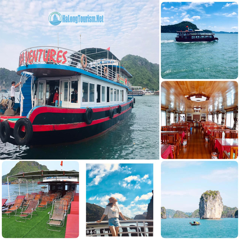 Tàu thăm Vịnh Lan Hạ, Cát Bà